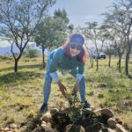 Tree planting