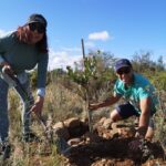 man and woman planting a tree