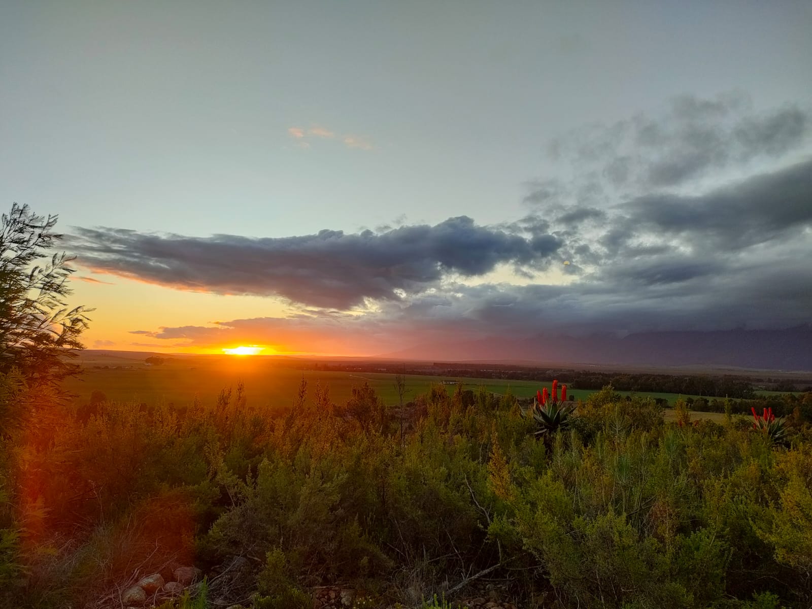 sunset