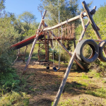 Jungle gym